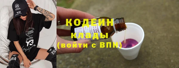 индика Рославль