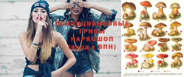 винт Аркадак
